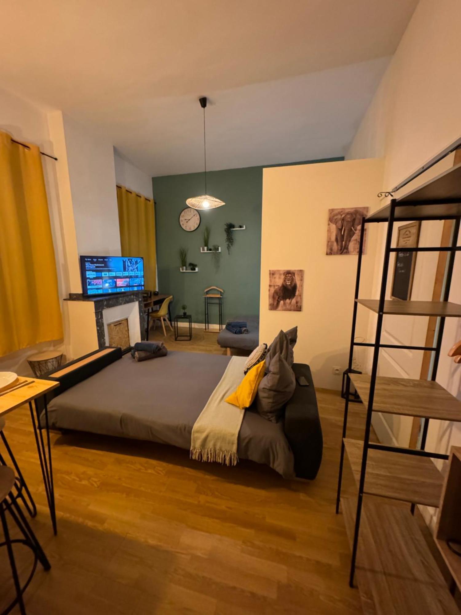 Charmant Appartement Climatise Aux Pieds De La Cite Carcassonne Exteriér fotografie